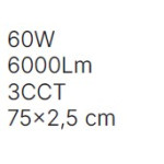 Inlight Πλαφονιέρα οροφής LED 60W 3CCT (by switch on base) σε ασημί απόχρωση D:75x2,5cm (42036-AA-Silver)