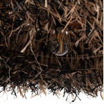 ΦΩΤΙΣΤΙΚΟ ΟΡΟΦΗΣ ORDEM HM4715 ΚΑΠΕΛΟ ΙΝΕΣ SISAL & ΜΠΑΝΑΝΑΣ-ΜΑΥΡΟ & ΦΥΣΙΚΟ Φ75εκ ΦΩΤΙΣΤΙΚΟ ΟΡΟΦΗΣ ORDEM HM4715 ΚΑΠΕΛΟ ΙΝΕΣ SISAL & ΜΠΑΝΑΝΑΣ-ΜΑΥΡΟ & ΦΥΣΙΚΟ Φ75εκ